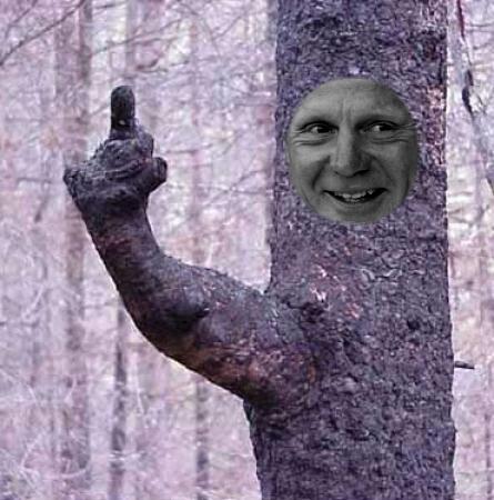 Mister_Forest's tweet photo. Just a little message from all us tricky trees to all you sheep shaggers #nffc #dcfc #upyours #banter #slapthesheep http://t.co/msumB2kKxy