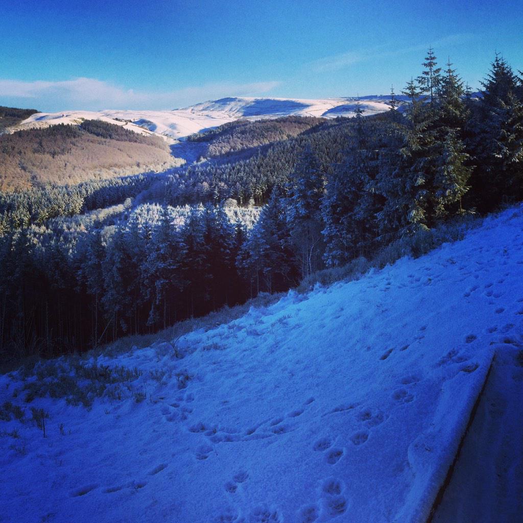 Joe_ikin88's tweet photo. #sundaywalkingclub #maccforest #brilliantviews #earlymorningwalk @Amy_McGuigan @yumtiouskt @sellisuk http://t.co/cwfWaAwnPI