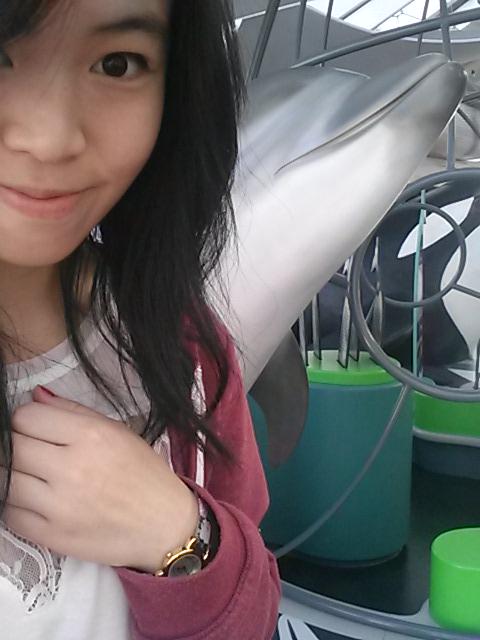 LaSmoshette's tweet photo. Dolphins are really nice mammals http://t.co/lv3ud2LFLj