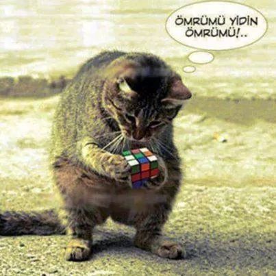 Ömrumu yedin omrumu