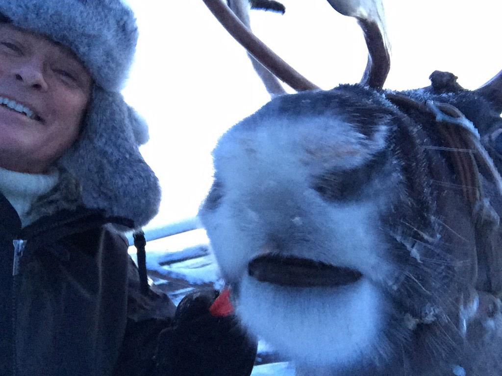 DavidHasselhoff's tweet photo. First selfie from Lapland with a reindeer! RitariÄssä! http://t.co/7goKaEFtT4