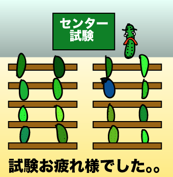 QReeSan's tweet photo. きょうの一枚・・・
センター試験 数2B難しすぎー

#きゅうり　#2015年1月18日　#きょうの一枚 http://t.co/aBwbAJvaX7