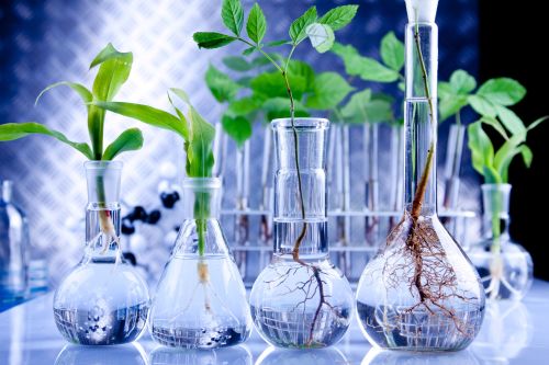 Resultado de imagen de biotecnologia blanca