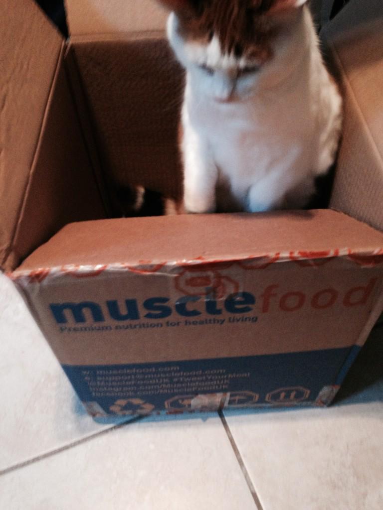 MissPassey's tweet image. Thanks @MuscleFoodUK for my delivery 😛