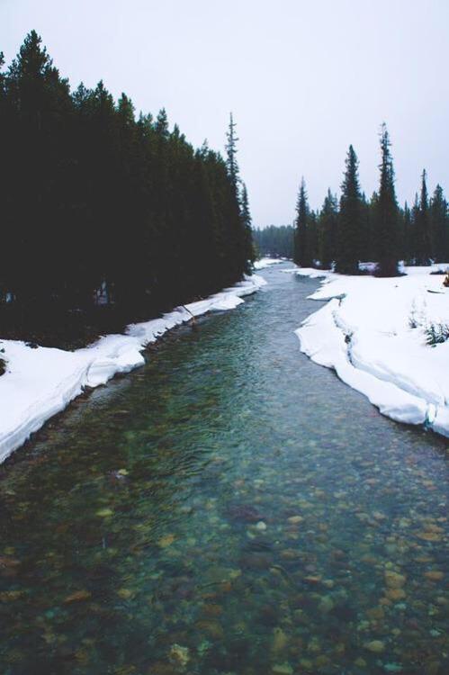 relaxvibes's tweet photo. Nature has so much diversity http://t.co/EL0k2iYH1O