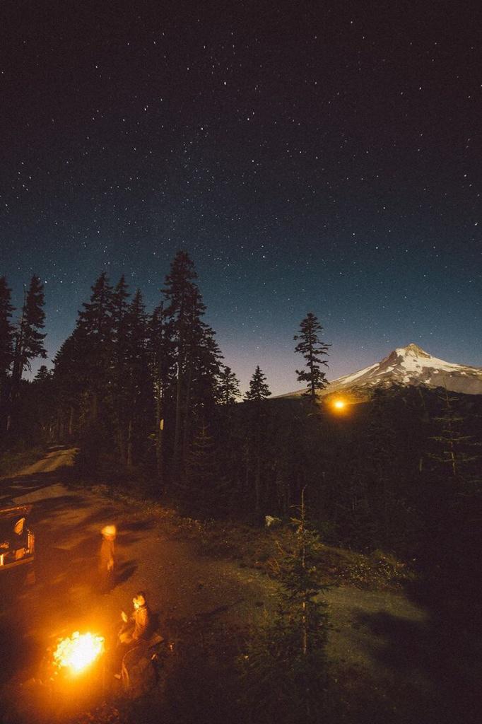 relaxvibes's tweet photo. Nature has so much diversity http://t.co/EL0k2iYH1O
