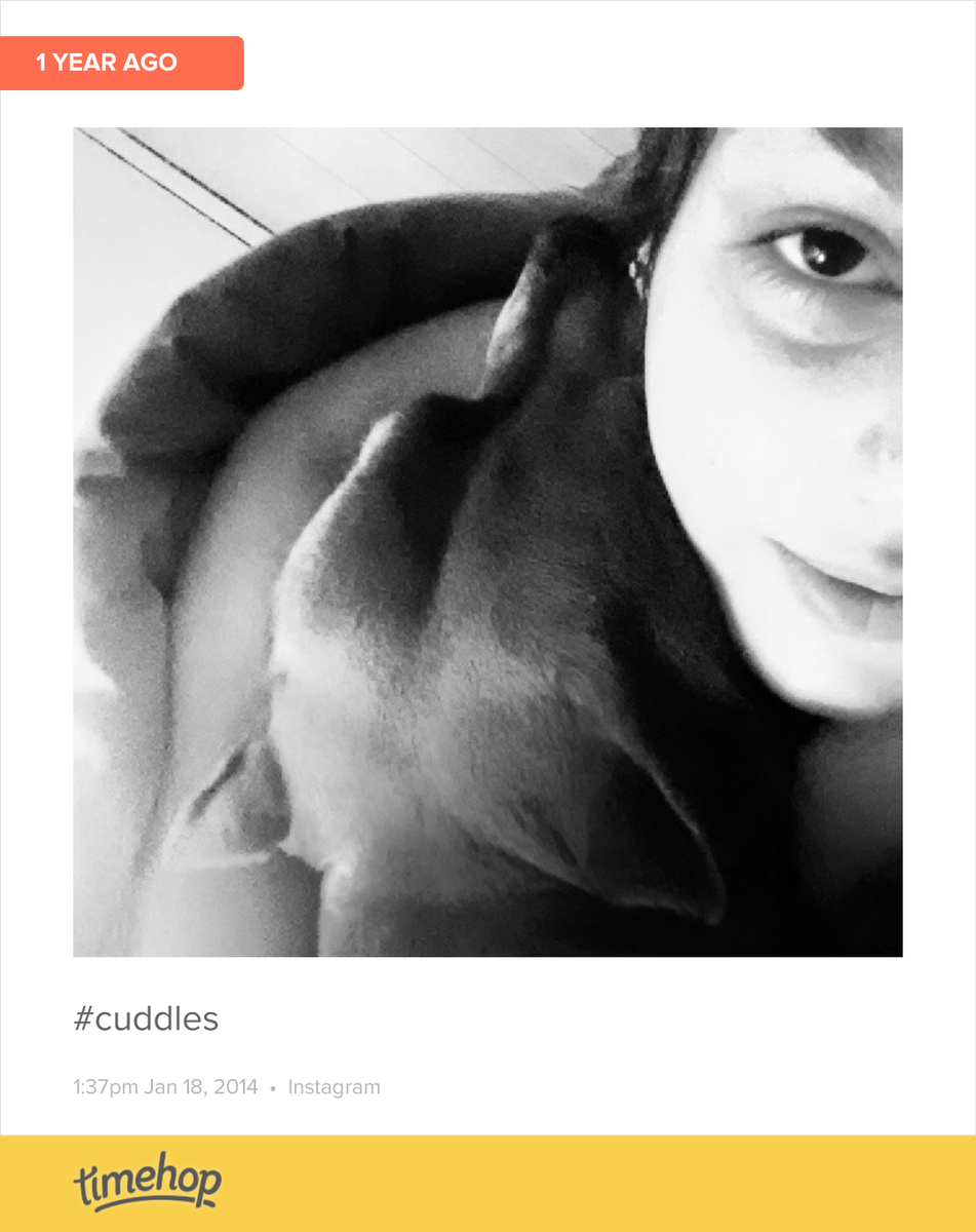 whenjaymesmiles's tweet photo. this picture was the morning after we got Theia.. all she wanted was to be loved on. she's so sweet and cuddly. �... http://t.co/9QrrLs8Qo9