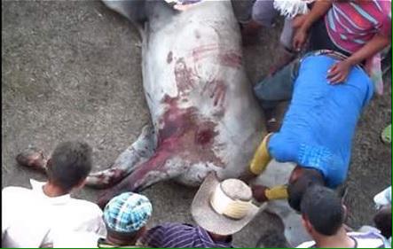 egonayerbe's tweet photo. La desprecie humana http://t.co/YKvdOClmuD