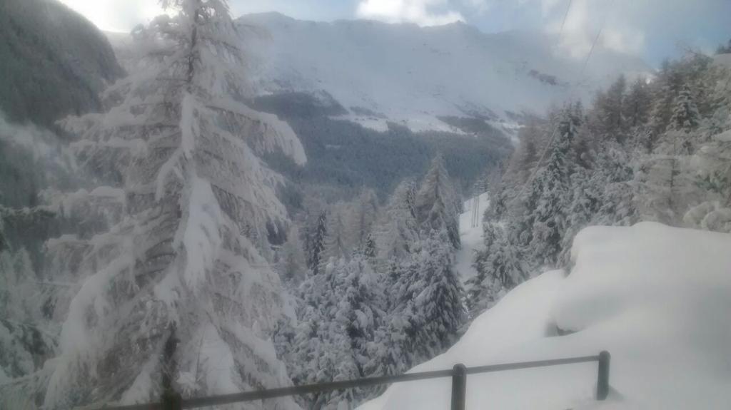systempuntoout's tweet photo. Finalmente si gode .. http://t.co/UIqTwXQDPE