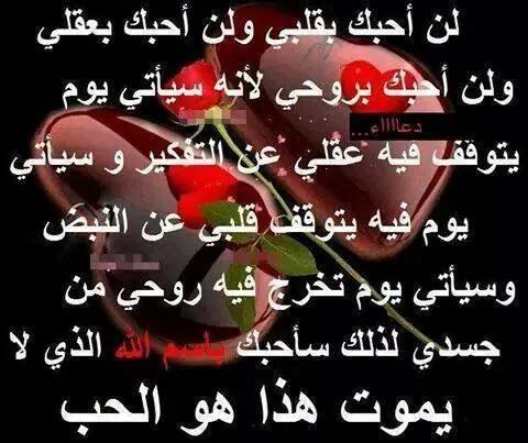 MAashq tweet picture