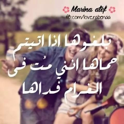 MAashq tweet picture