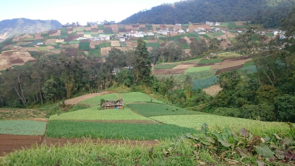prensa_libre's tweet photo. Usuario @PacoChilin comparte este paisaje desde el municipio de Zunil, #Quetzaltenango. http://t.co/nfuynkXae7