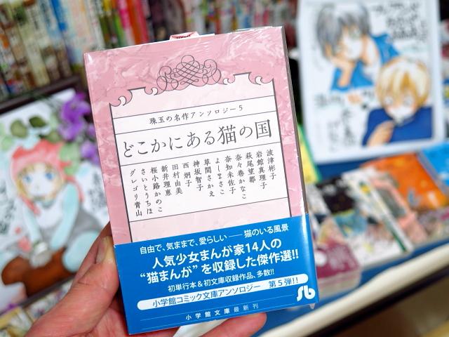 ブックランドあきば高島店 در توییتر 小学館コミック文庫 絶賛 珠玉の名作アンソロジー 猫 傑作選 珠玉の名作アンソロジー５ どこかにある 猫の国 大人気少女まんが家14名による猫マンガ 猫好きにはたまりませんw 奈々巻かなこ先生の 港町猫町 の一編も収録