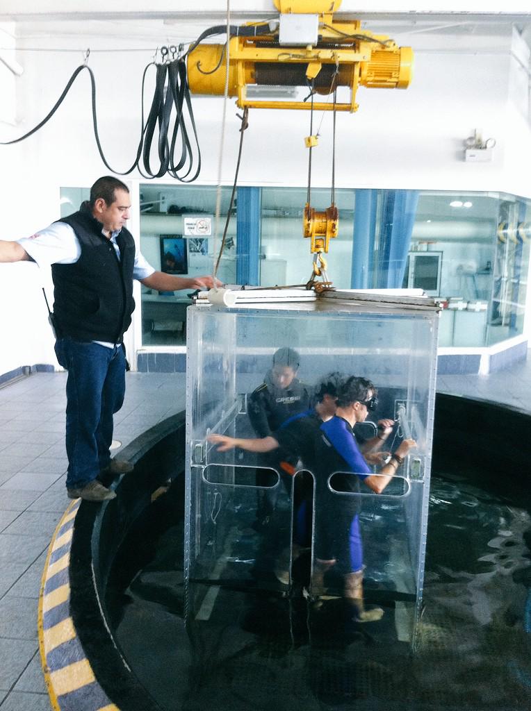 lsuarezs's tweet photo. #Primicia!!! @JavitoMerino @GaboSqs ingresan con 17 tiburones @AcuarioVeracruz #AyNanita http://t.co/OcLfspBByW