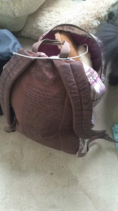 throwback to my back pack in 7th grade 😂😳 #1Dordie @annafreebz http://t.co/1L8d5QBMGq<a href="/tag/1dordie"class="tags">#1Dordie</a>