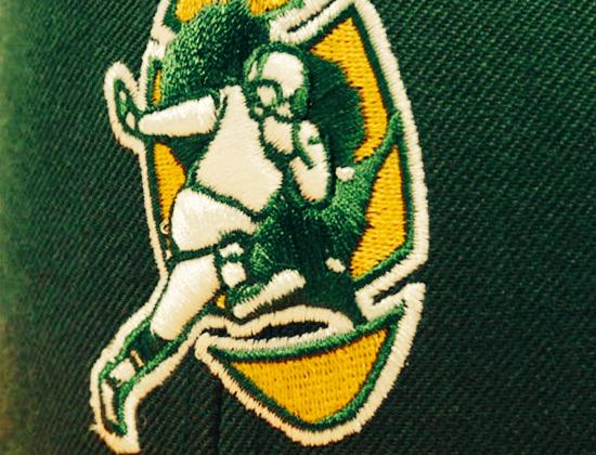 livefromogden's tweet image. IT'S STILL #PackerGang ALL DAY.