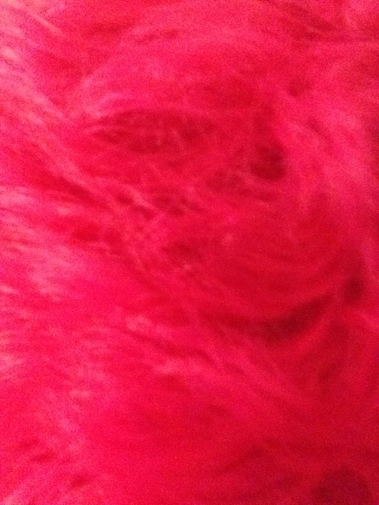 _vomits's tweet photo. Highlighter http://t.co/xULotVPCI5