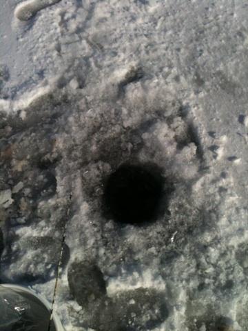 _tomschroeder's tweet photo. http://t.co/HIG7xM0t8F