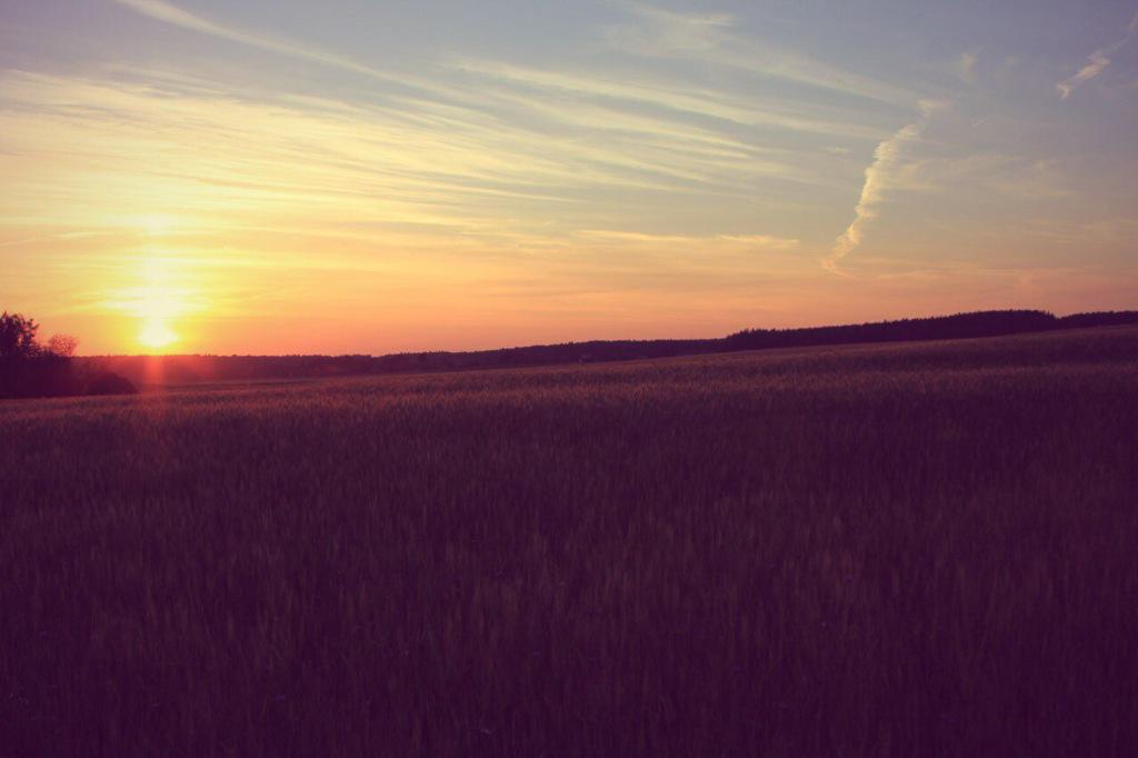 DachaProjectRus's tweet image. Совсем скоро летние пейзажи вместе с #lfhotel