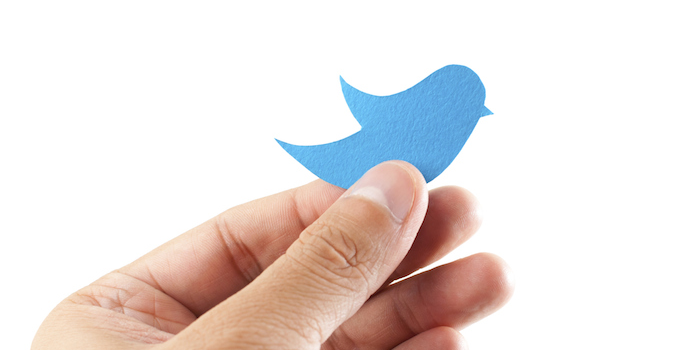 Rocket Reach tweet media