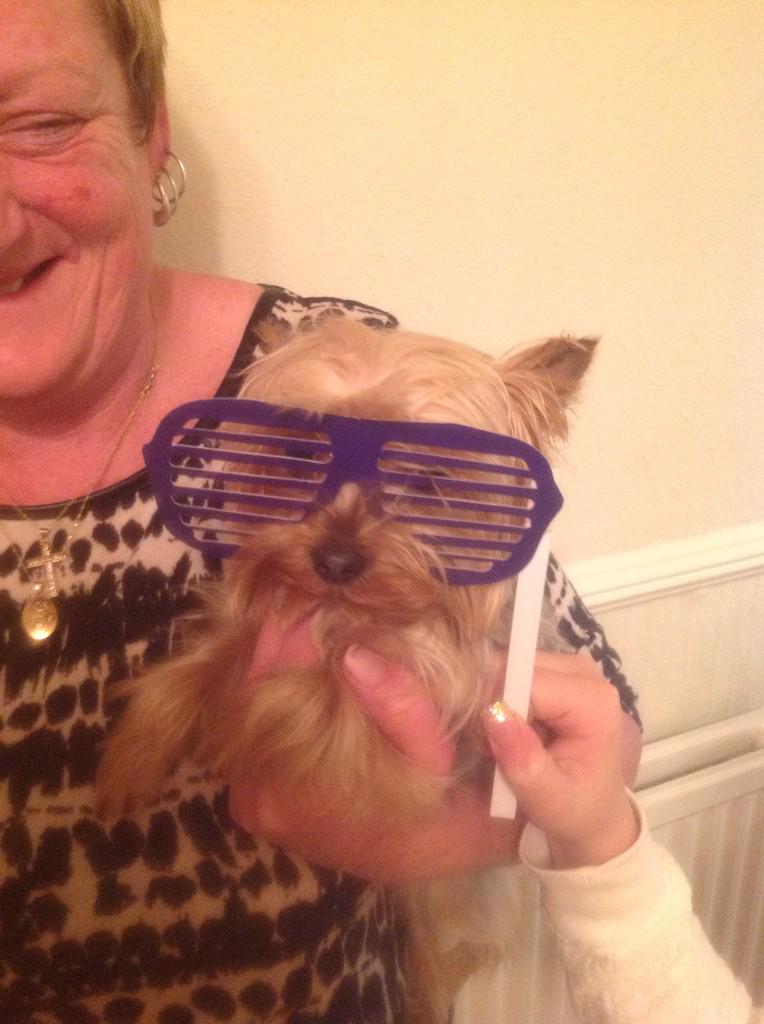 diamond261084's tweet photo. Our very own @kanyewest  #doggystyle 😎🐶 http://t.co/BICczwNvmo