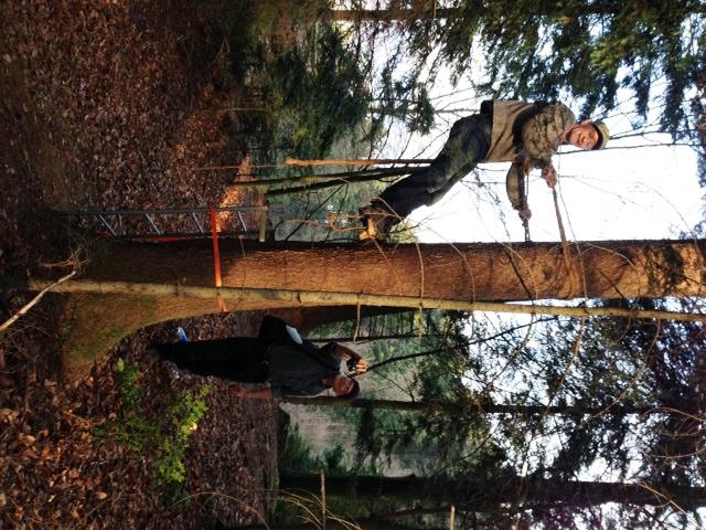 NaturalBeeTrust's tweet image. @charlottemf406 @jfsteiner In such areas a revival of #treebeekeeping might be called for - see @BeesWingNet