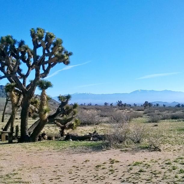 NateCalvert's tweet photo. Walks in the desert with @kayleejean14 👌
#AV #AntelopeValley #SaddlebackButte http://t.co/XHWGCYJGp1