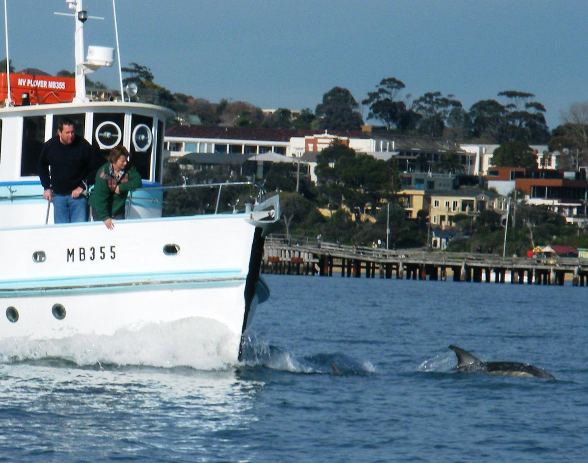 bayfishntrips's tweet photo. Just another day in paradise (aka Port Phillip Bay) ... wouldn't want to live anywhere else #morningtonpeninsula http://t.co/C9F2U6XTYX