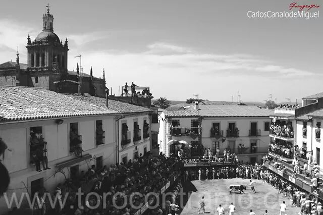 canalodemiguel's tweet photo. #CulturaDeBou  Sanjuanes-Coria #CulturaDeBou  #CulturaDeBou #CulturaDeBou #CulturaDeBou  #CulturaDeBou #CulturaDeBou http://t.co/NAzskxLrTY