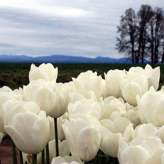 mli55589's tweet photo. http://t.co/2uGYx1OuFe