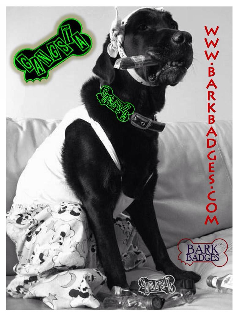 Bark Badges tweet media