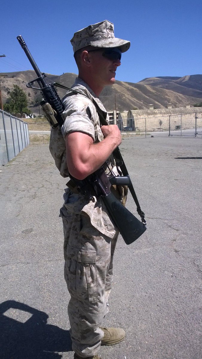 ted ryan tweet media