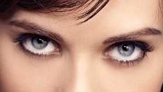 BarnesWinters's tweet photo. Daisy's eyes appreciation day! #DamnThoseEyes! http://t.co/w8y0Mic5QZ