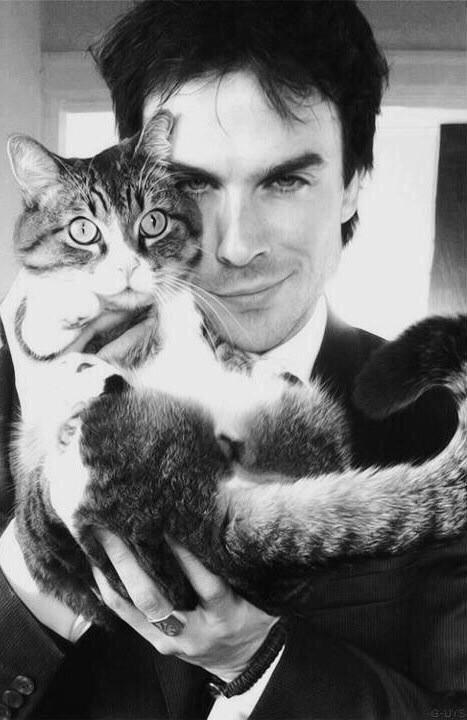 IanSYRPG's tweet image. 😺