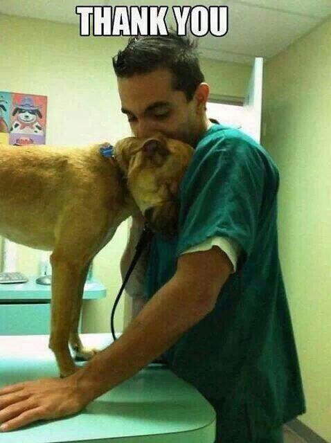 GRATITUDE is not only a human feeling