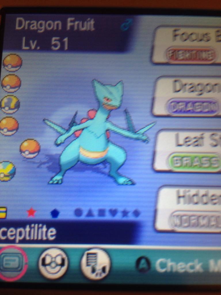 RSirIllo's tweet photo. @JayYTGamer the little Treecko you saw  yesterday is now DWAGON FWUIT!!!! Thanks for the inspiration again, man! http://t.co/bzdM8M5NwV