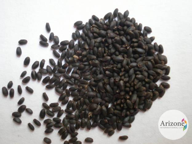 arizonein's tweet photo. #Basil is LIKELY SAFE when taken by mouth in #Food amounts.
#BasilSeed #SideEffectsOfBasilSeed
http://t.co/FDxTI2idkm http://t.co/mGkB3evvL2