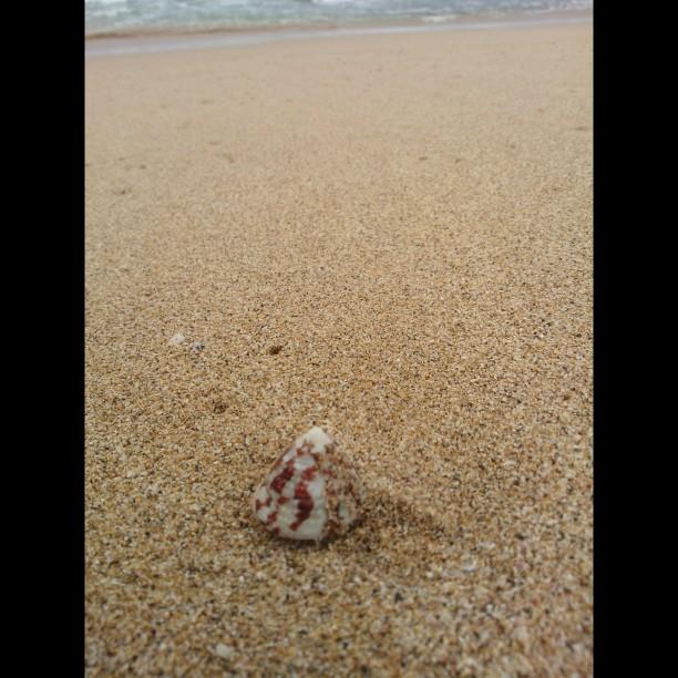 theo_fighter's tweet photo. Barang laut http://t.co/REsCgwg0ig