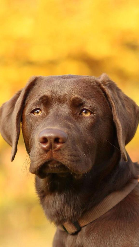 Corey✨ (@corey_lee27) on Twitter photo 