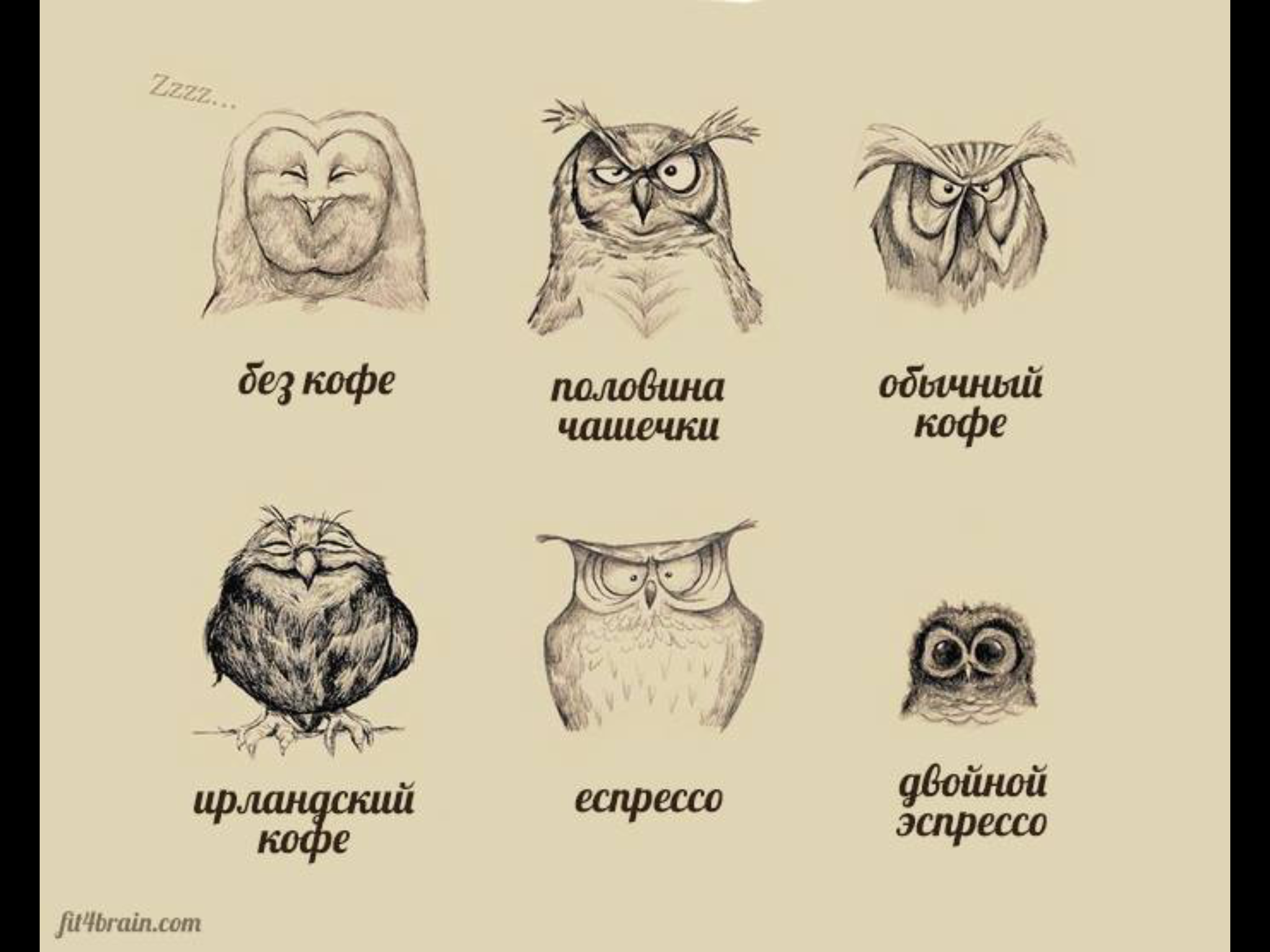 Смешные фразы про кофе