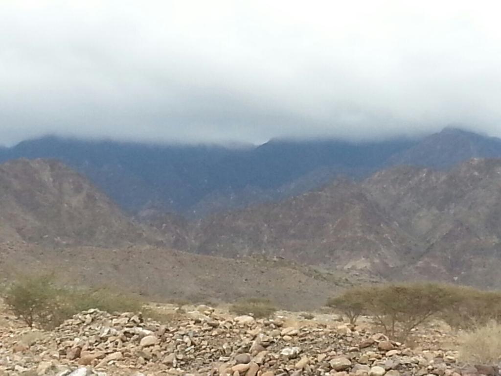 Bin_Shakhboot20's tweet photo. اجواء وادي الجزي الآن 

مهنا الكندي 

@AlAjwa_Centre http://t.co/thrRQb9cJA