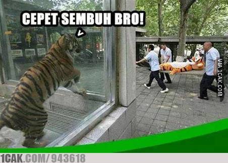 onecak's tweet photo. Sedih melihat "temannya" sakit..
http://t.co/bGXPRCe6e0 http://t.co/9oH4xCe6cK