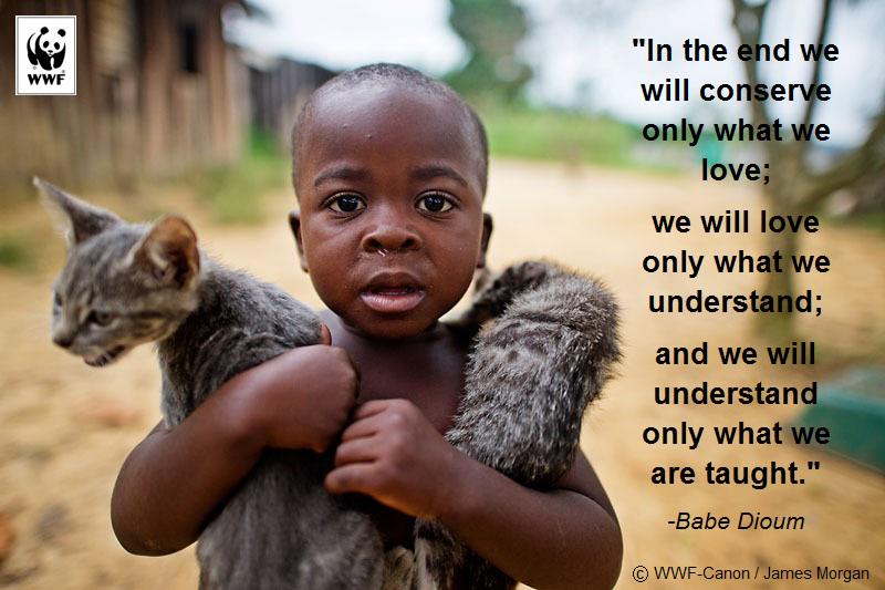 WWF South Africa tweet media