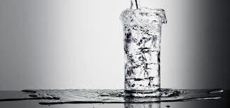 DavidDdesantis's tweet image. What's yours doing today? #halffull #runningover #blessed