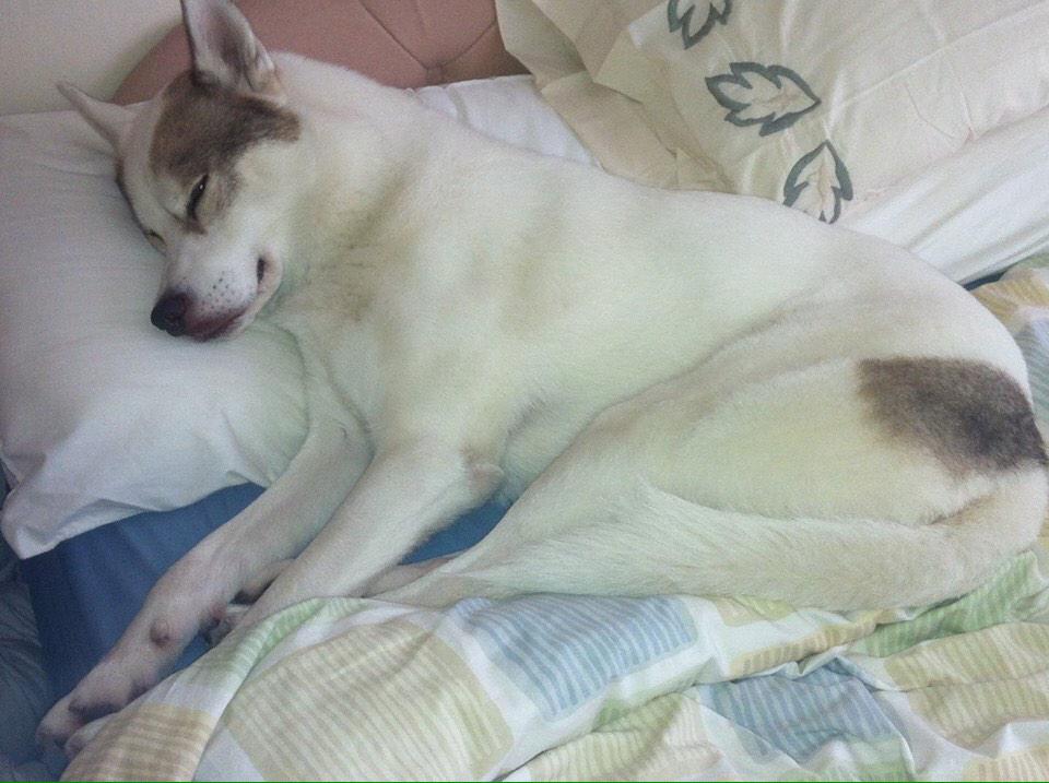 VerySkiledGamer's tweet image. I will be happy when murphy comes home #HappyMap