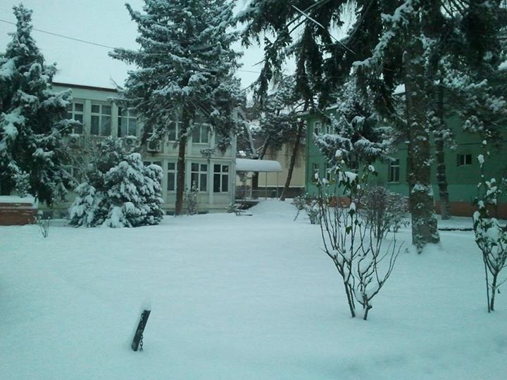 Şubemizden kar manzaraları