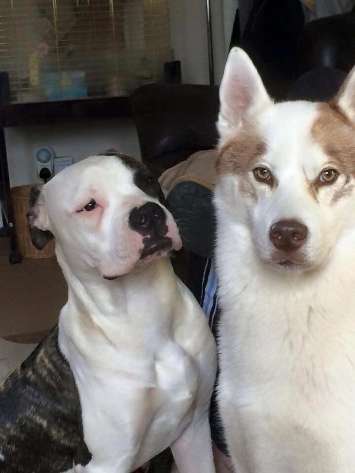 VerySkiledGamer's tweet image. I will be happy when murphy comes home #HappyMap