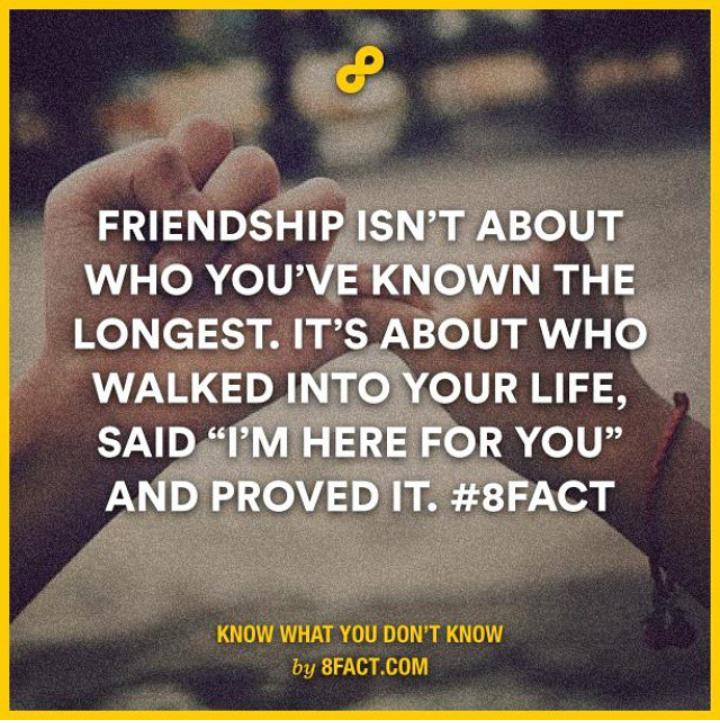 NeveBlaze's tweet photo. This. #8fact #truth http://t.co/Zhl7FqpKwc