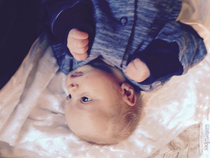 sophepeters's tweet photo. Ahh, my little Teddy is beautiful! 😍 http://t.co/HxmmasoDq6