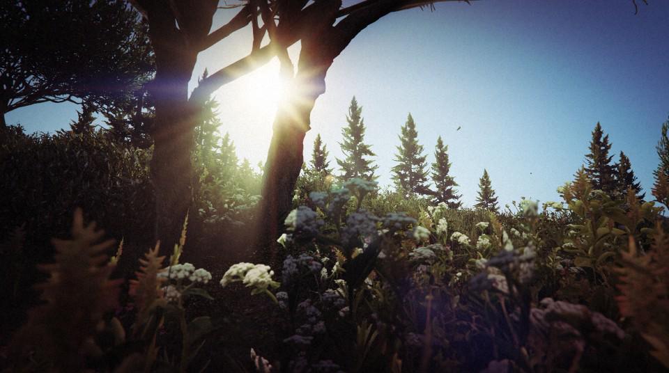 snapmaticman's tweet photo. The nature @MakaveliCinema @Wendy_Rich_UK @Ianharvey_ @GTAJunkies @chocolate_oishi @diamondbiscutz #GTAPhotographers http://t.co/io7fcb8EFY